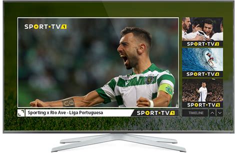sport tv 1 direito online gratuito
